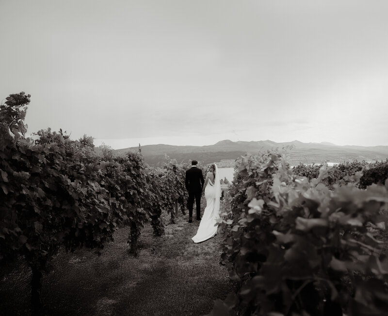 Bride and groom walking through the vineyard at 50th Parallel Estate Winery wedding in Kelowna, photographed by Aliishoots