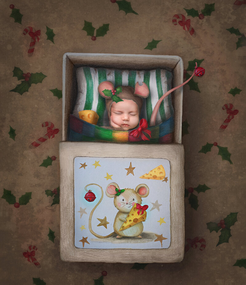"Sleeping newborn curled up inside a tiny matchbox-inspired prop, dressed as a little mouse, captured in a whimsical fine art photography session in Ottawa."