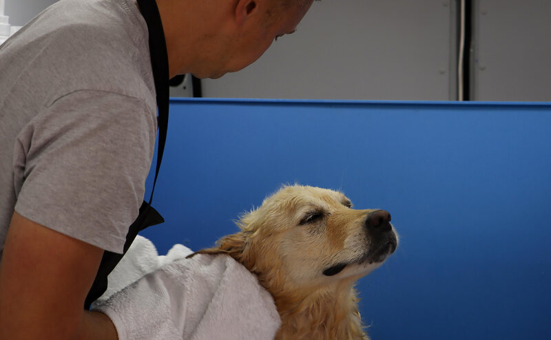 mobile dog grooming table view