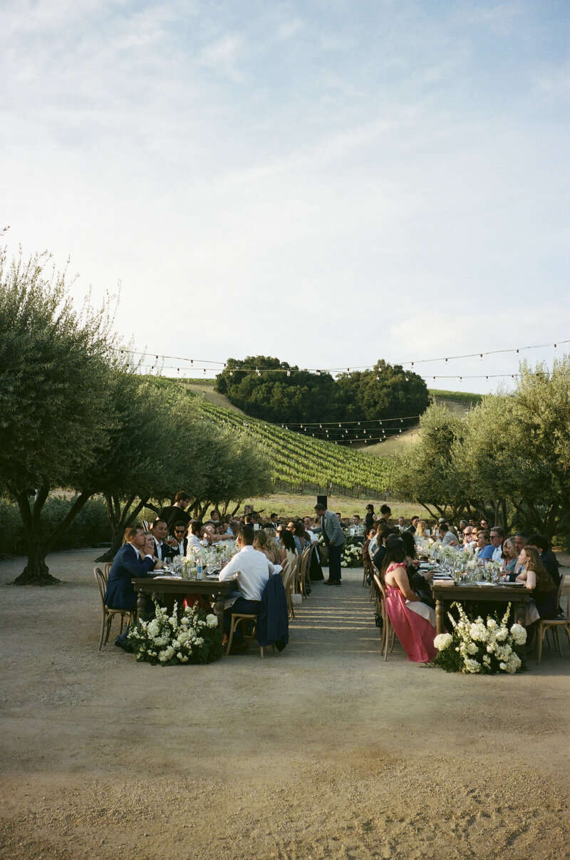 LauraBurnsPhotography-2-2