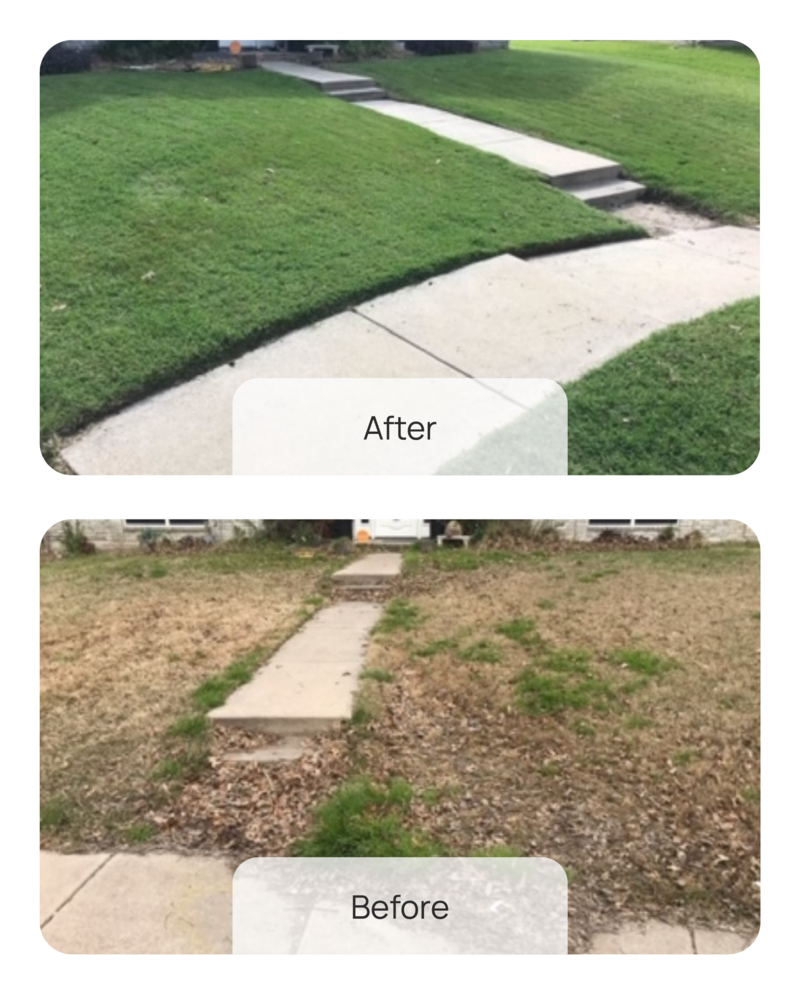 Five Star Fertilizing Before & After - 3