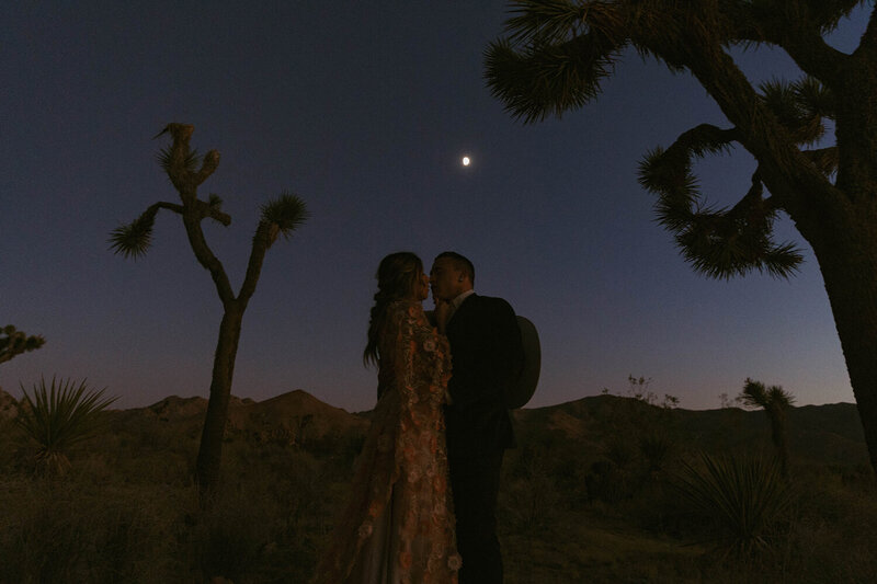 joshua-tree-california-couples-session-0547