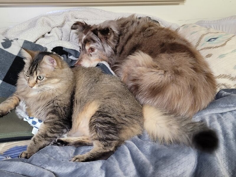 Luna and Milo