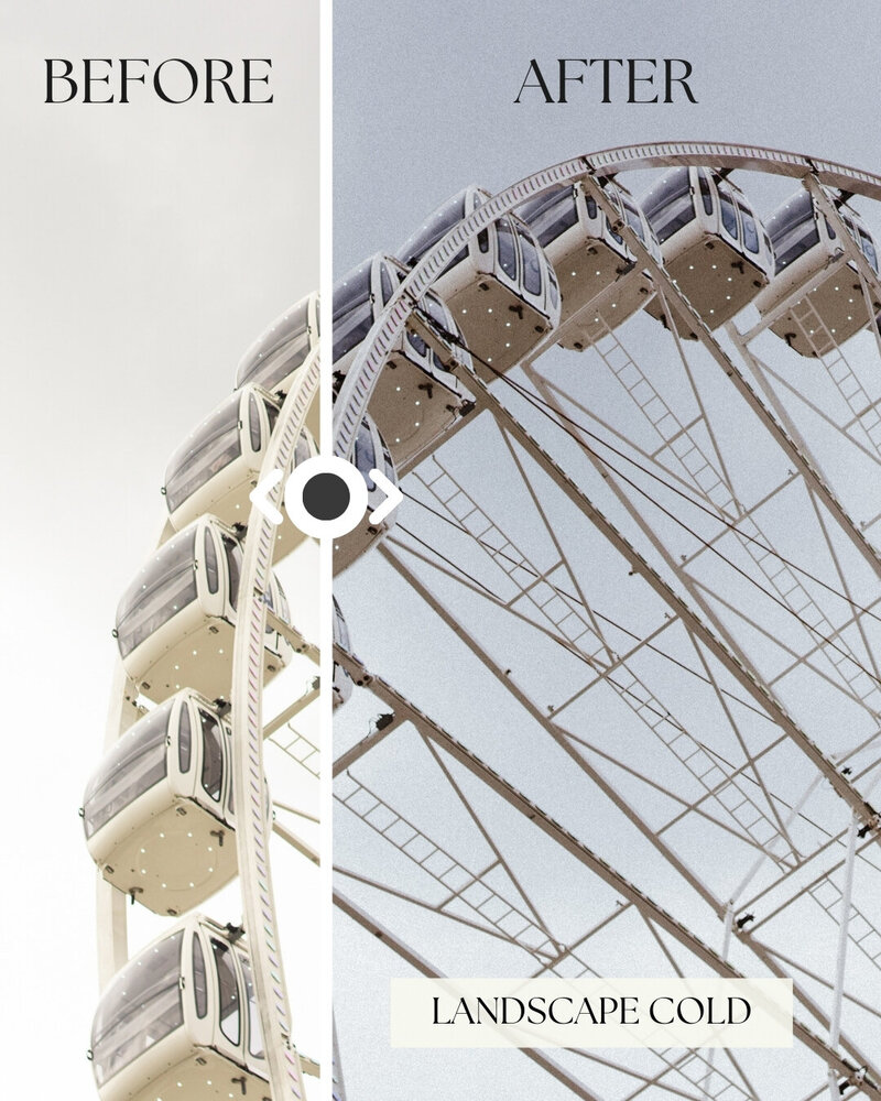 Presets by Emily Before and After - landscape cold
