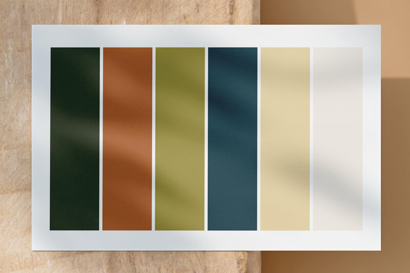 Studio Paoline Kruijssen - portfolio grafisch ontwerp - kleurenpalet huisstijl  - Experience Hemavan