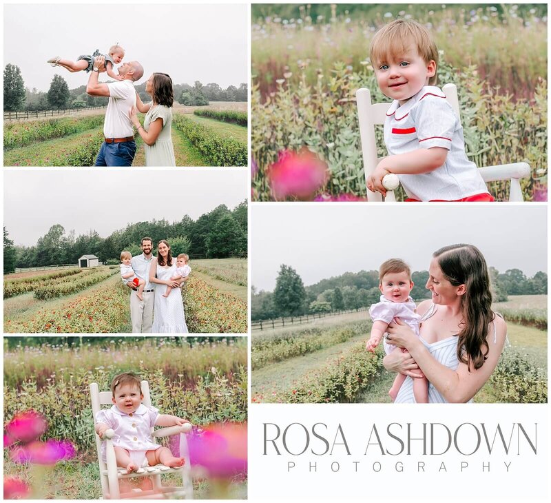 mini session photographer in raleigh nc