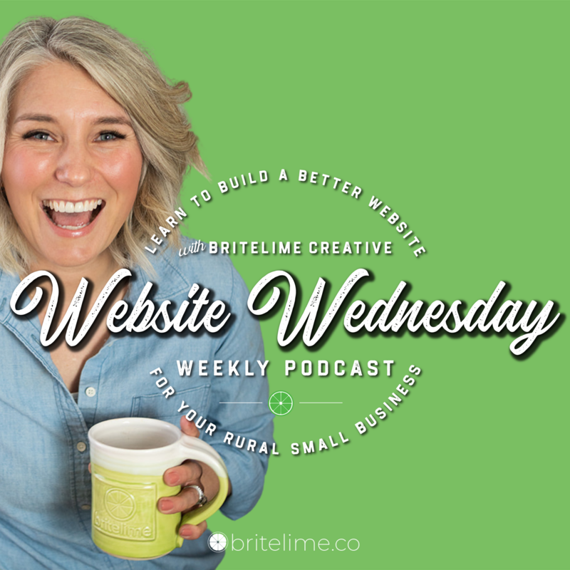 Cover image of the Website Wednesday podcast featuring host Liz Langford-Cobo in a blue denim shirt holding a lime green coffee mug. The Website Wednesday podcast logo is overlayed . The image has a bright, lime green background.
