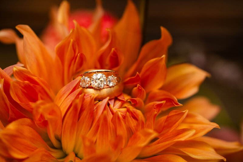 Erin-Zach-Wedding-Photography-Caitlyn-Kloeckl-Photography-43