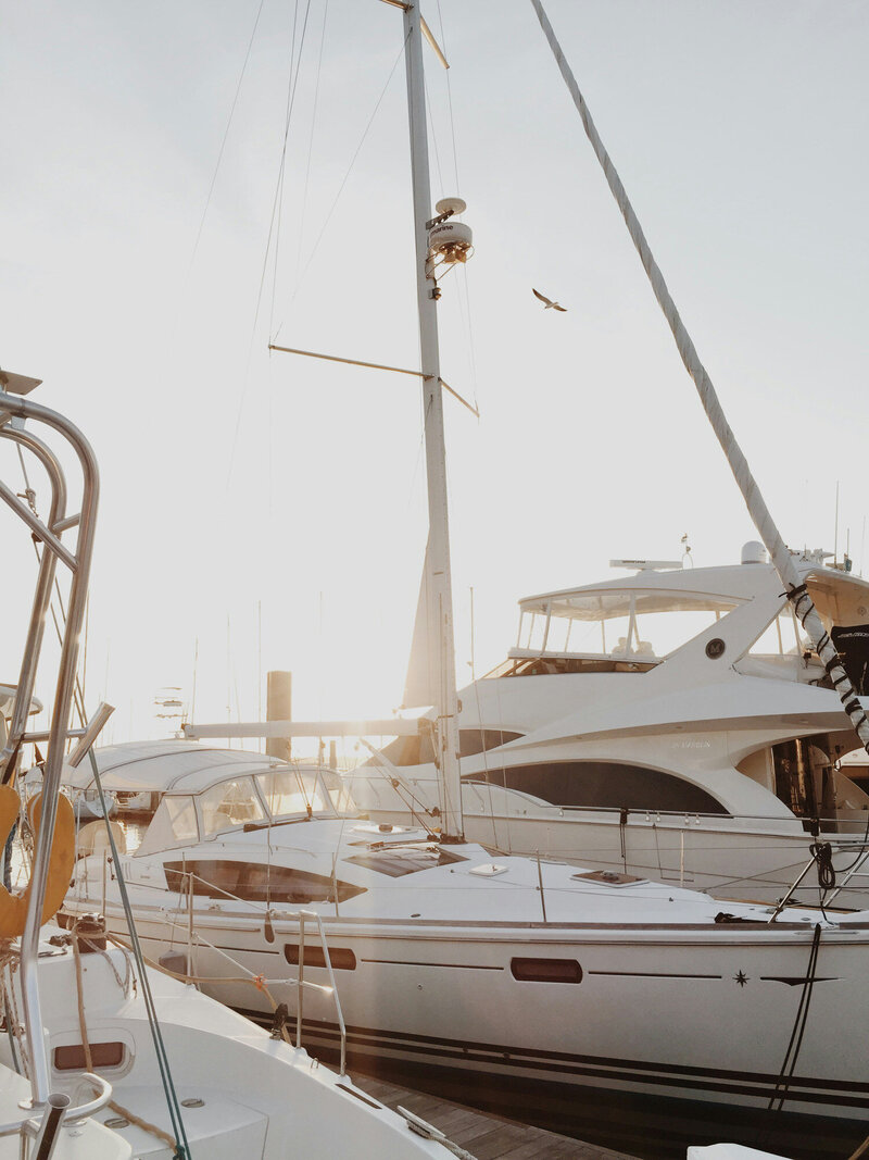 tranquil harbor scene with several yachts moored under a clear sky, sunlight casting a golden hue over the scene