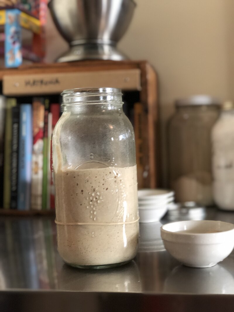 Sourdough Rising