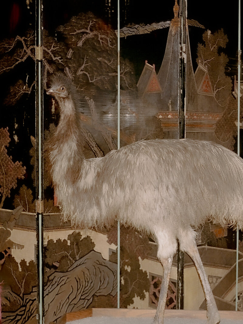 Brady Bates - The Paramour Estate-19