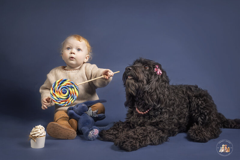 kids with dogs, lollipop, cake, dog photography, pet photography