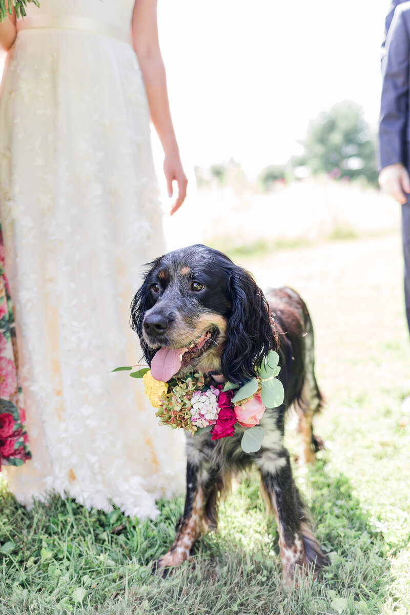 Maryland_DC_Wedding_Photographer-13