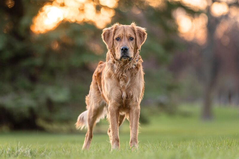 AWP FB 2025 Client Session (6 x 4 in) (14)