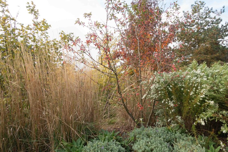 HORUS PAYSAGES_architecte paysagiste_Val trebbia_stanislas jung-22