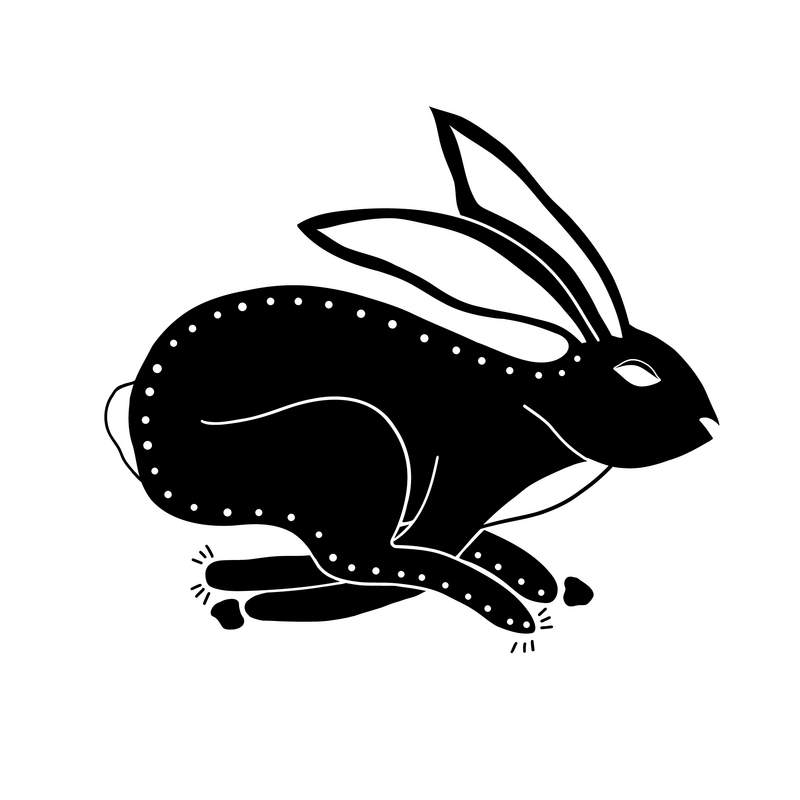 Wild Hare_Dot Rabbit-01