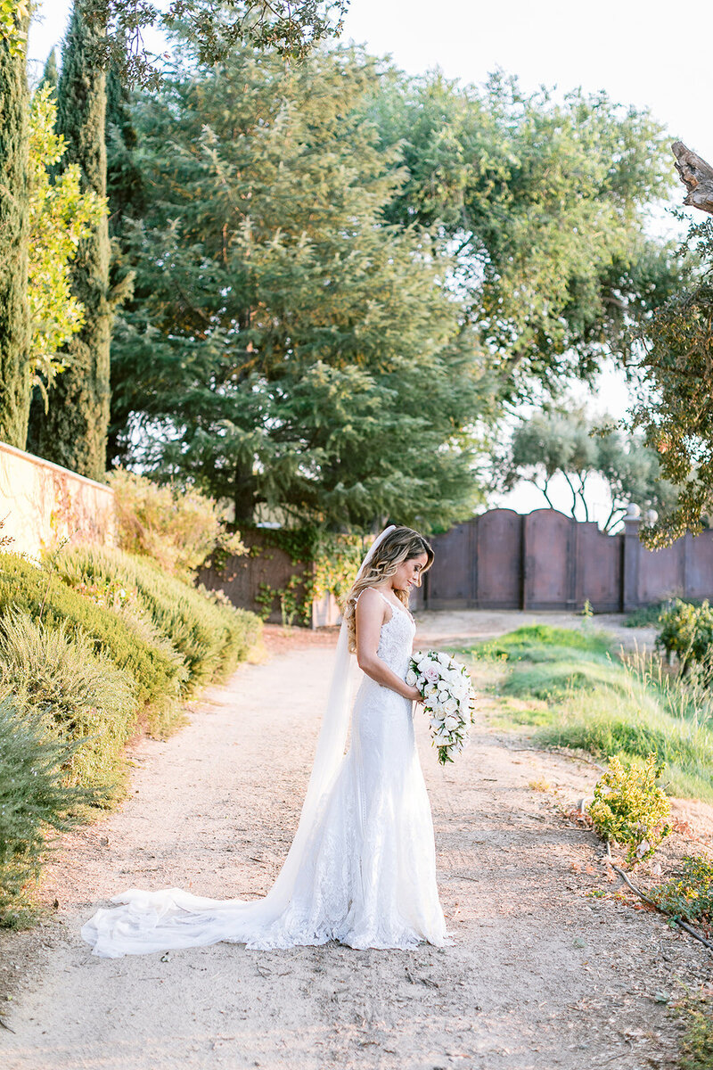 Paso-Robles-Amber-Lynn-Photography-6