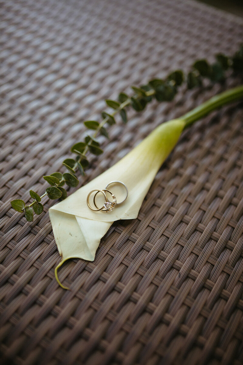 Brent & Lydia 2021 Wedding-5846