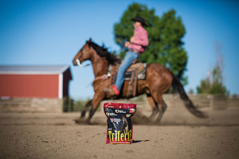 20210616_Kya-Photography-Equestrian-Photographer-Bend-Oregon_0001