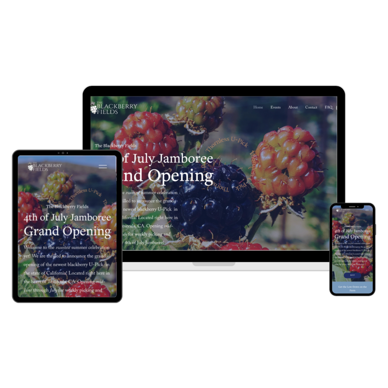 Example of a website design for a blackberry farm