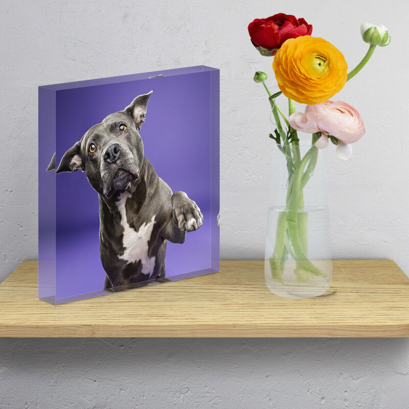 Acrylic Block Shelf Square