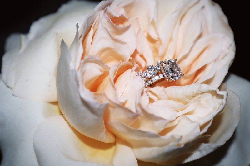 Image of artistic floral photography from Brand photographer at ADP Studio