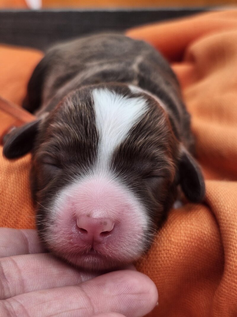 28a8b116-e39b-410a-902f-1c6daffc6285