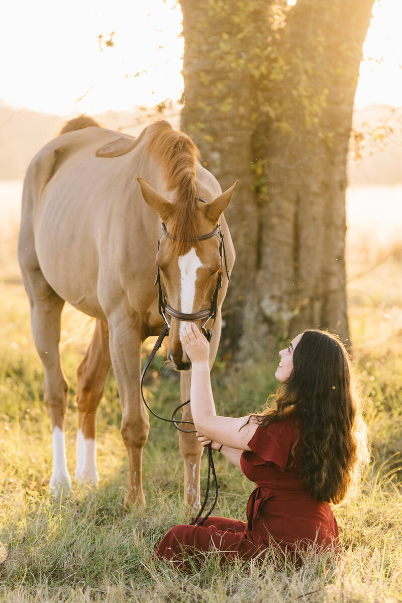 sunset photos EQUINE PHOTOGRAPHER AIKEN SC HORSES EQUESTRIAN AUGUSTA GA PHOTOGRAPHY AIKEN SOUTH CAROLINA EQUESTRIAN PHOTOGRAPHER EQUINE PHOTOGRAPHY aiken south carolina  horse photography