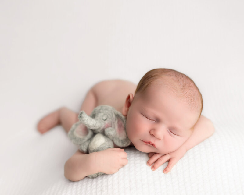 Heartfelt snuggles with a felt elephant—baby boy on white.
