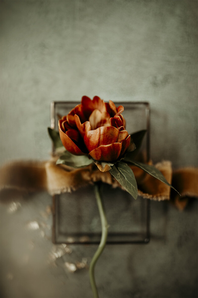 flower on a glass photo box