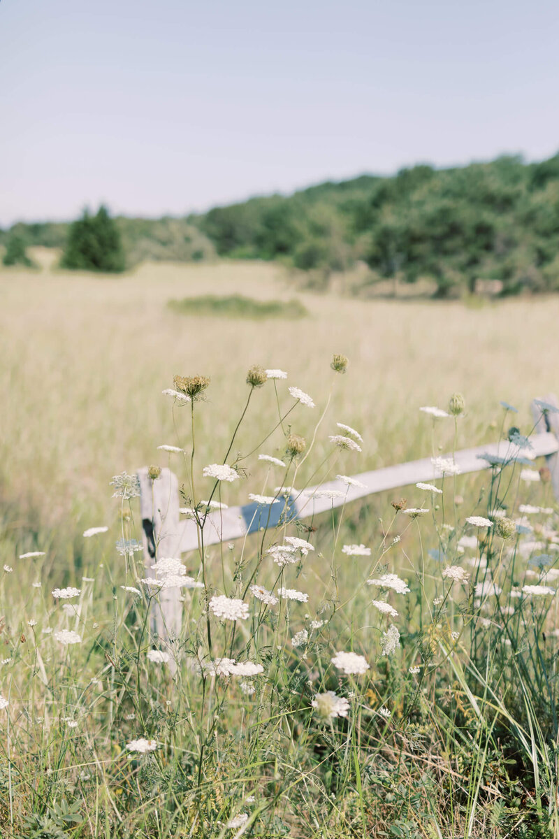Fresh-Greens_country_Styled-Stock_01307-scaled