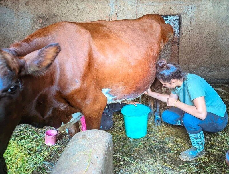 Activité ferme