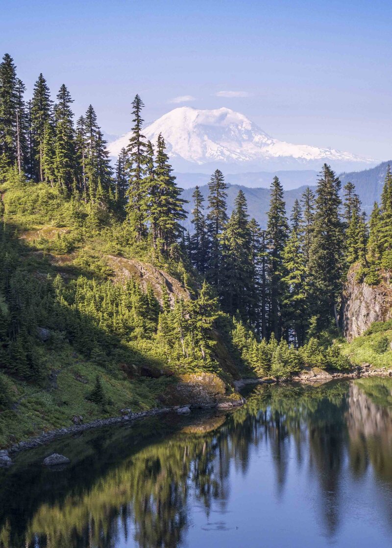 Pond in Washington state