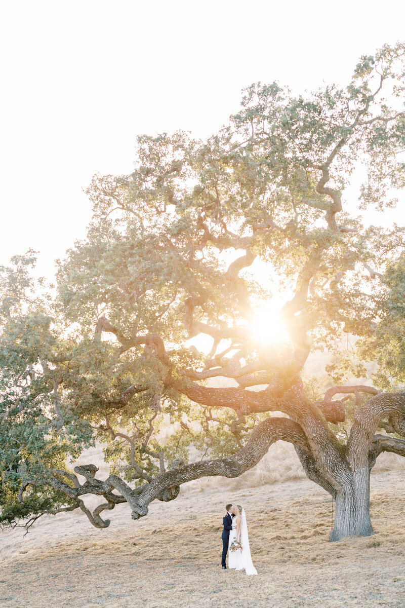 holman-ranch-wedding-photographer