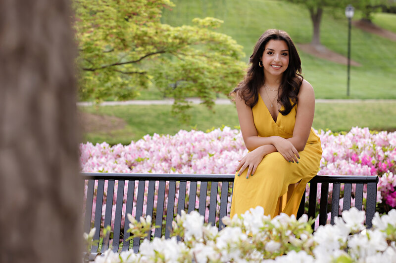 Lovely, elegant HS Senior in a yellow long dress sitting on the top edge of a park bench and surround by a field of pink and white azalea blooms. 