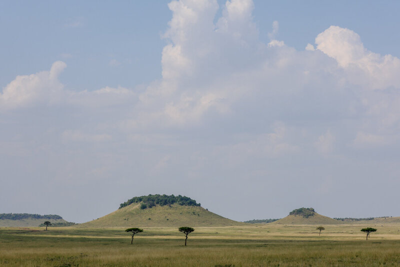 safariedited-407