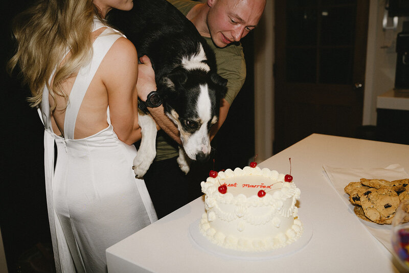 Melissa Clark Photography - Lake Hope Wedding - Queenstown Wedding Photographer - Lewis & Lucy-471