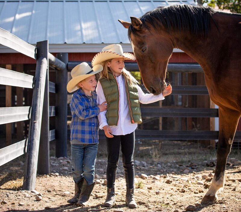 BSK_Experiences_Farm_2019_6658