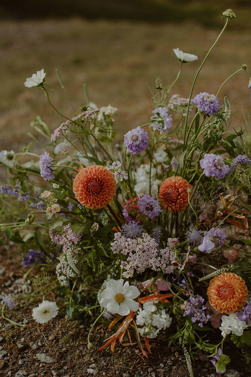 Hailey_Cameron_Alaska_Helicopter_Elopement-140