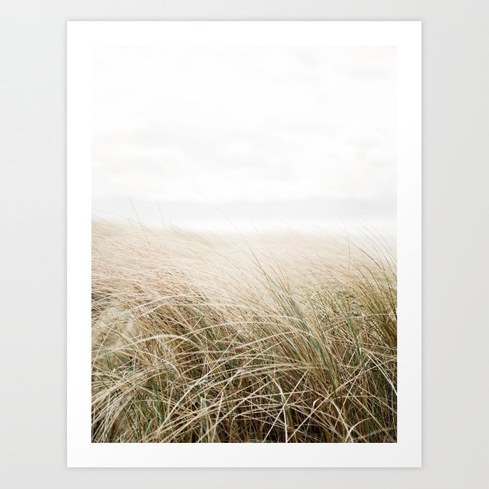 dune-grass-ireland-travel-photogragraphy-print-at-the-beach-prints