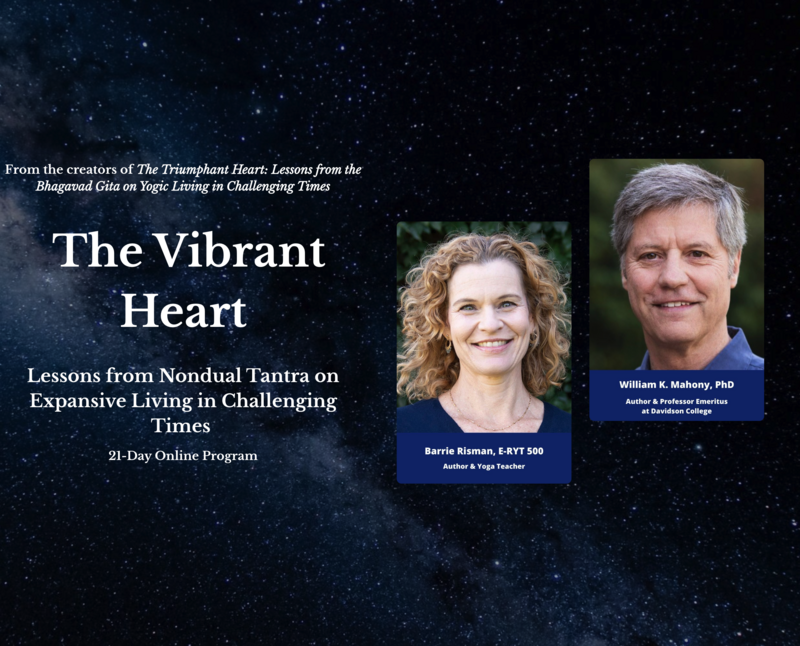 The Vibrant Heart Online Event
