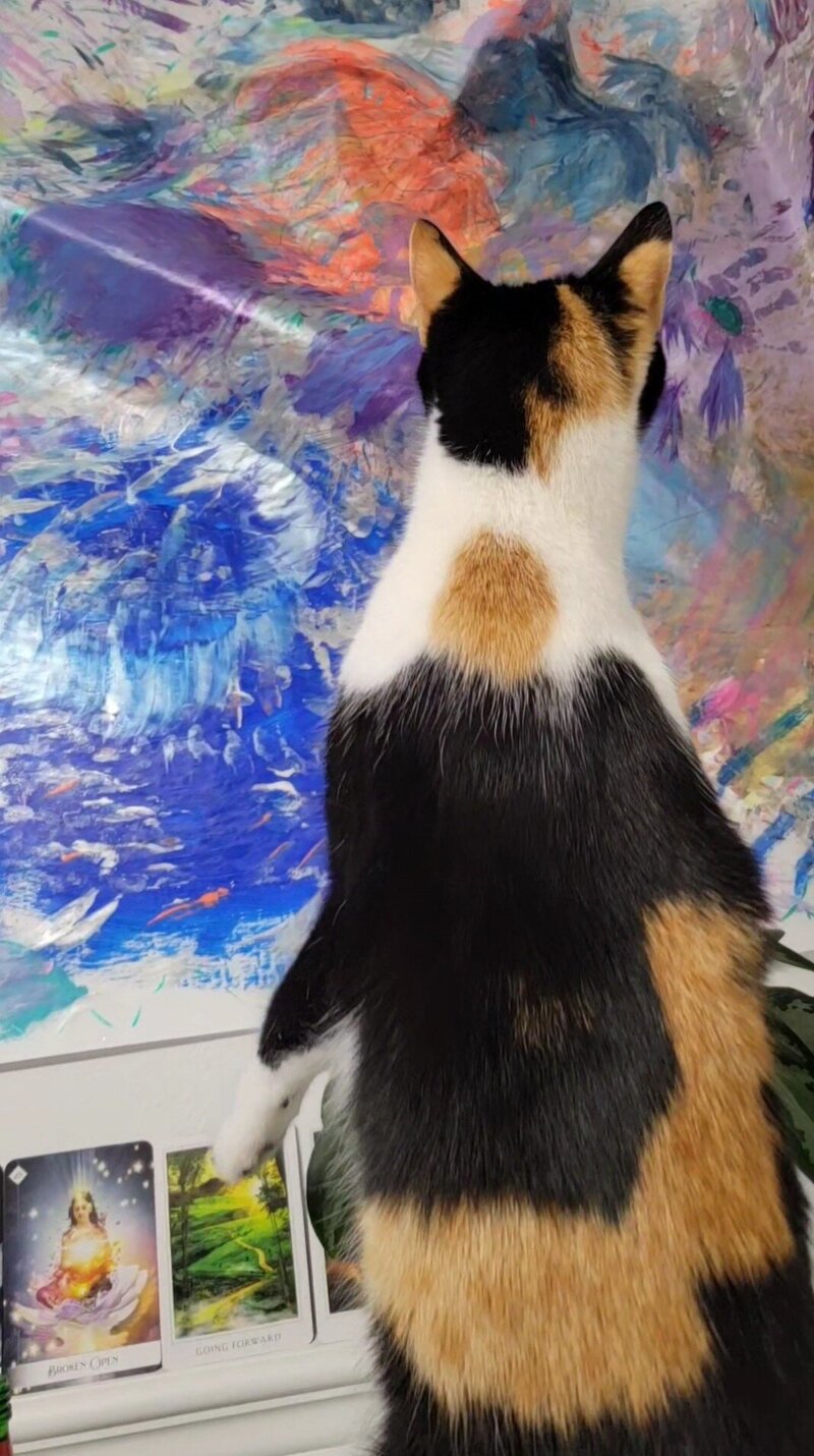 cat and painting
