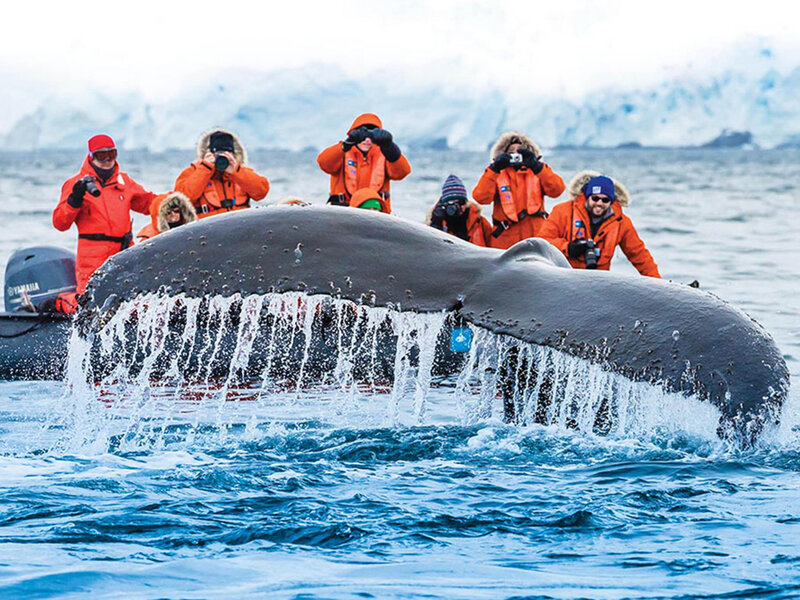 A group of bundled-up tourists in an inflatable boat photographing a whale’s tail as it emerges from the cold ocean, with icy cliffs in the background.