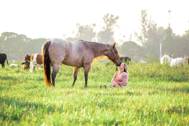 miami florida equine photography of a girl sitting in a grass field kissing her horse's nose with cows in the background