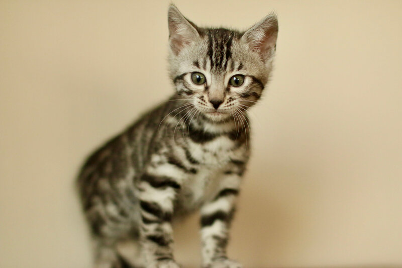 Amara x Taima Oct 2023_Female 4_3