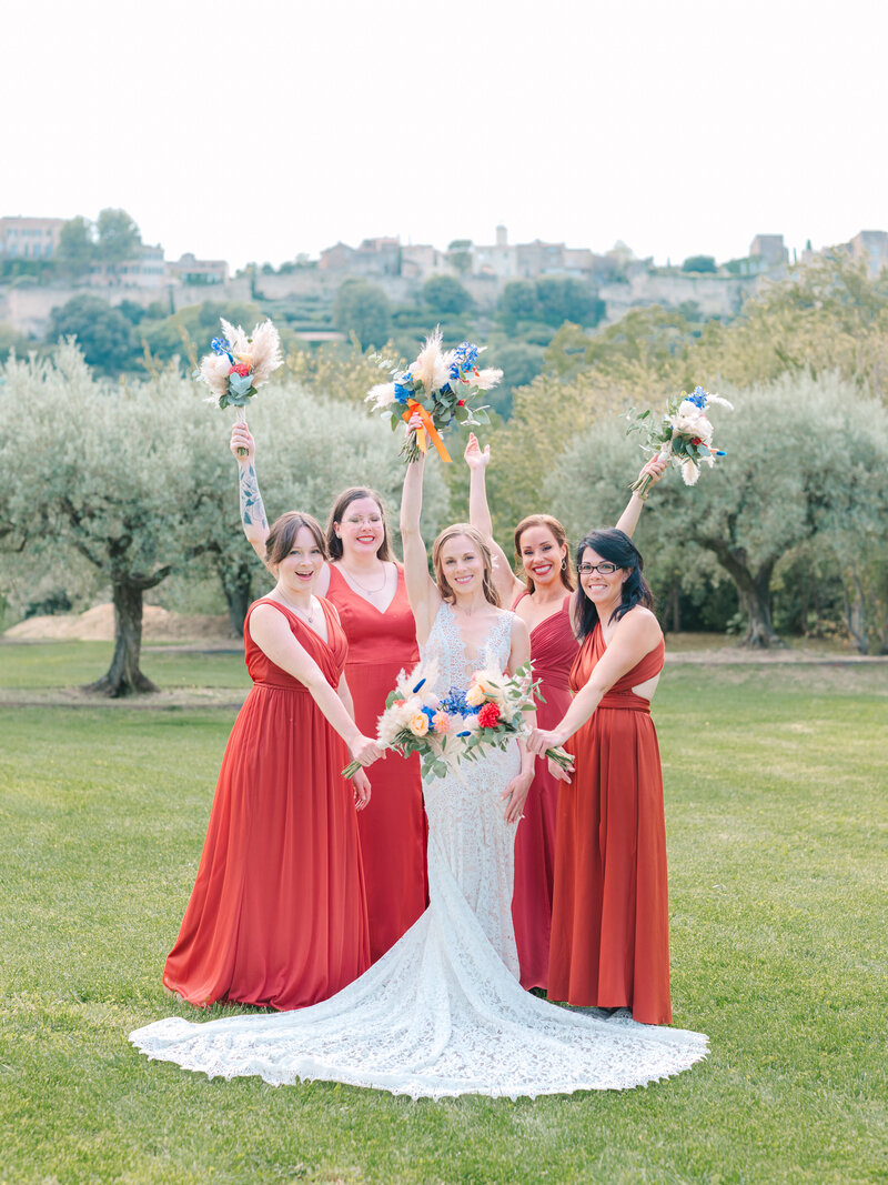 The bride with her bridesmaids, in the Olive garden of the domaine