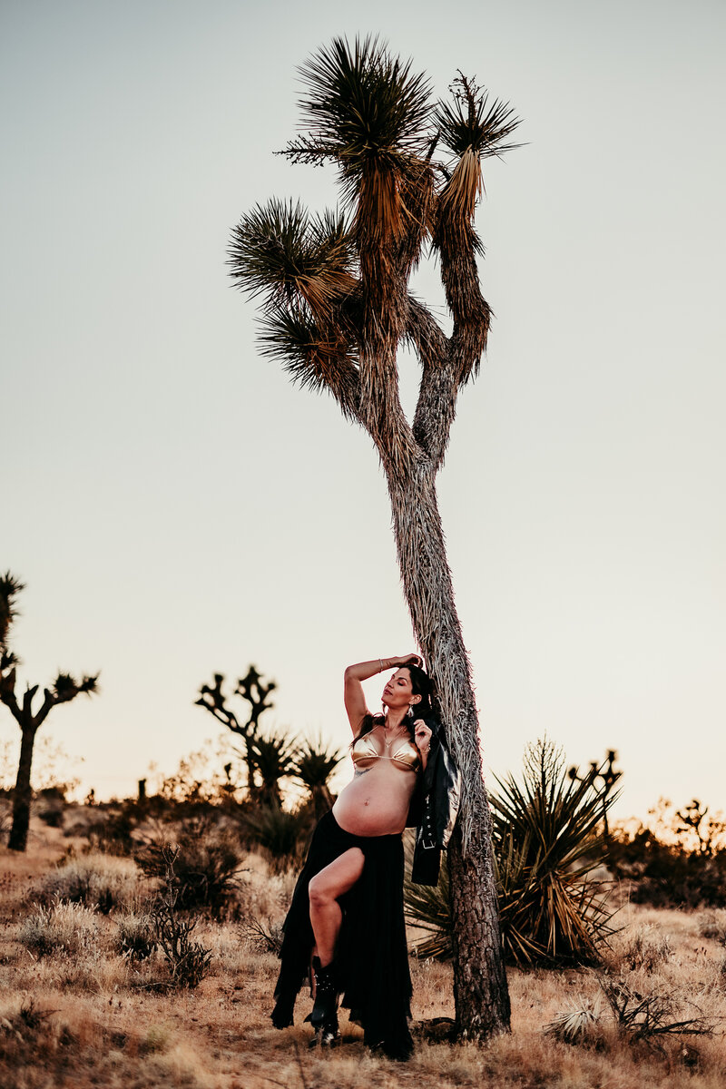 Pregnant woman in a black skirt and metallic top posing under a Joshua tree during a boho maternity photoshoot at sunset in the California desert, photographed by Brittani Luce