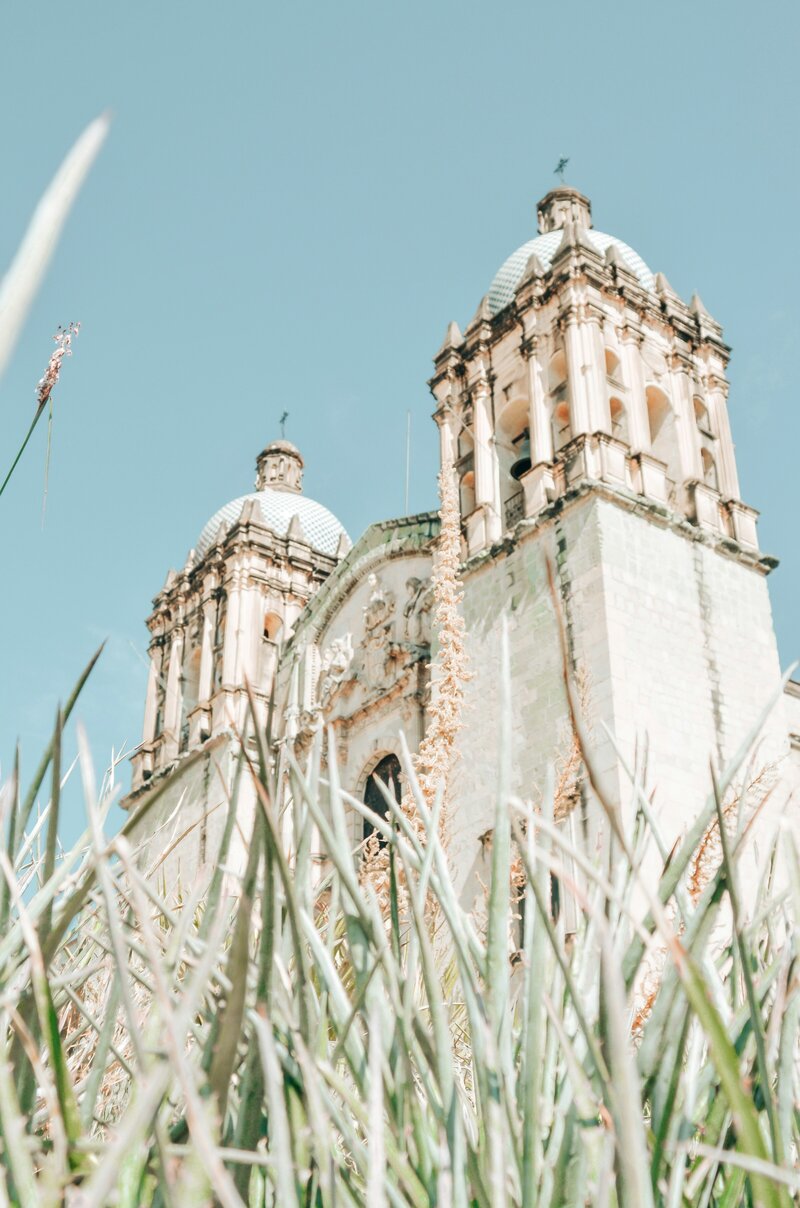 ale-cisneros-tiRYkJJr_yM-unsplash