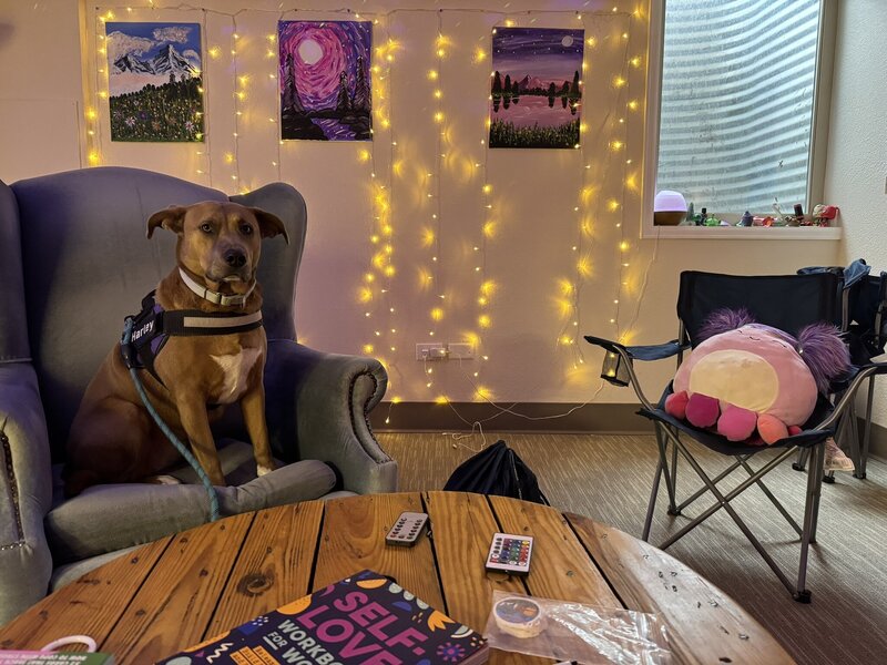 Harley the Therapy Dog sitting in therapist's office