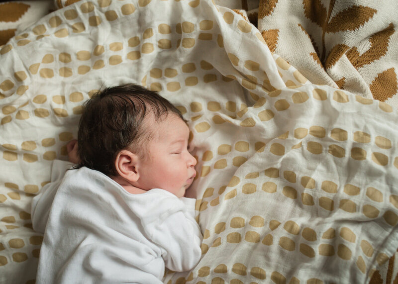 christine-elizabeth-new-york-photographer-13